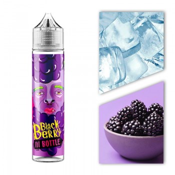Э-жидкость InBottle — Blackberry 