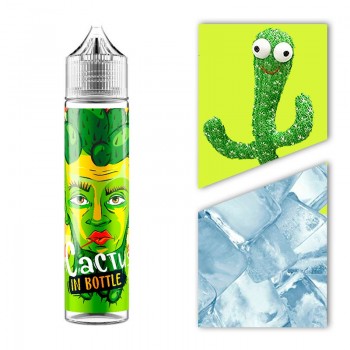 Э-жидкость InBottle — Cactus 