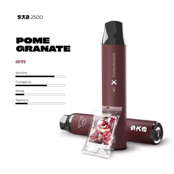 SAB 2500 затяжек - #11 Pomegranate