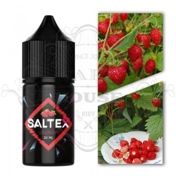 Э-жидкость Saltex — Wildberry